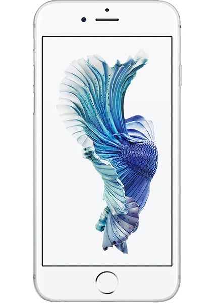 Yenilenmiş Apple iPhone 6S 128 GB (12 Ay Garantili) - A Grade fiyatları