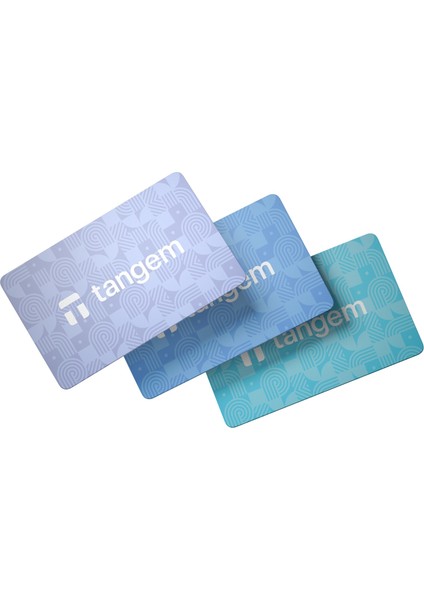 Kripto Para Cüzdanı (Nfc-Soğuk Cüzdan)(3'lü Paket) Winter Edition