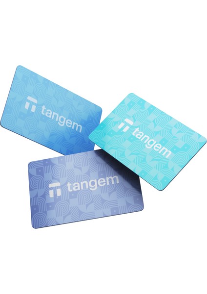 Kripto Para Cüzdanı (Nfc-Soğuk Cüzdan)(3'lü Paket) Winter Edition