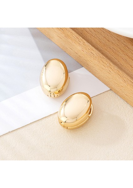 Niş Tasarım Moda Küpeler (Yurt Dışından)