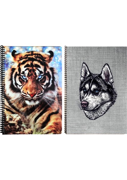 A4 Plastik P.p Kapak 60 Yaprak Çizgili Desenli Telli Defter Seti