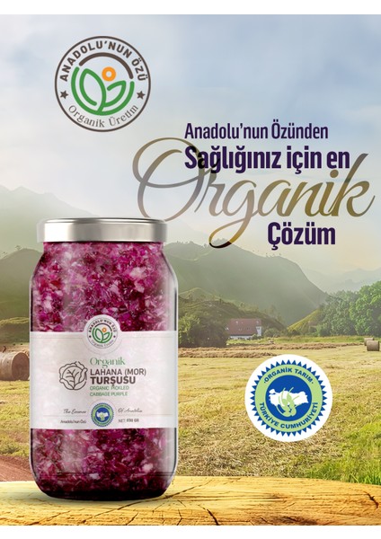 Lahana Turşusu (Mor) ''650gr''