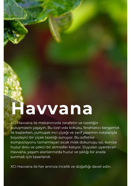 Xcı Havvana 150 ml Çubuklu Ortam Kokusu modelleri