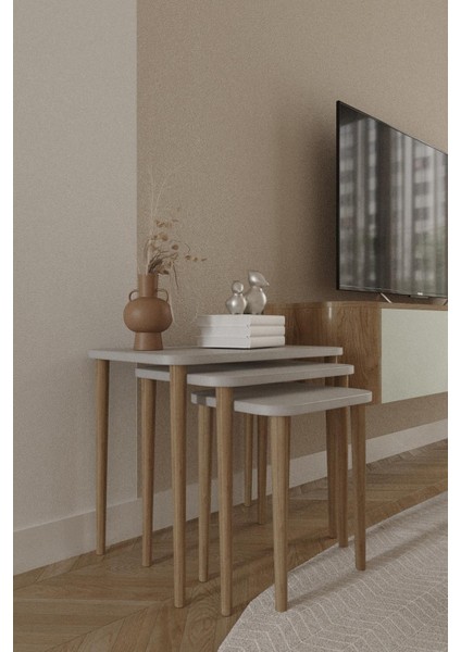 Dikdörtgen Zigon Sehpa 3'lü Set – Ahşap Ayaklı Modern Tasarım fırsatları