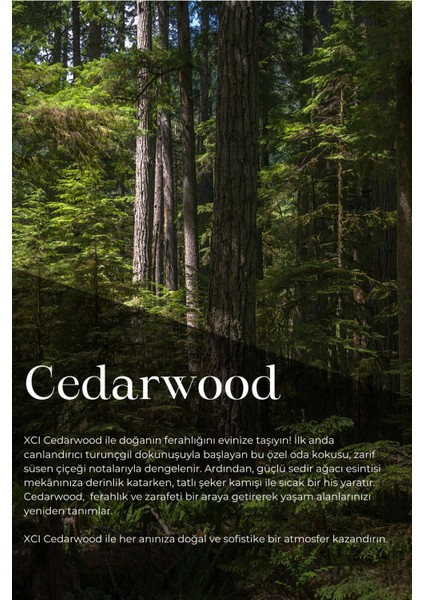 Xcı Cedarwood 100 ml Çubuklu Ortam Kokusu fırsatları
