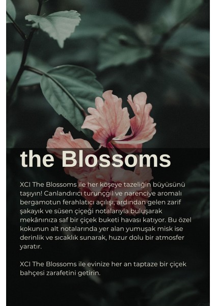 Xcı The Blossoms 100 ml Çubuklu Ortam Kokusu modelleri