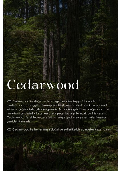 Xcı Cedarwood 500 ml Ortam ve Kumaş Parfüm Spreyi fiyatları