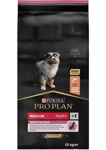 Puppy Somonlu Orta Irk Hassas Derili Yavru Köpek Maması 12kg