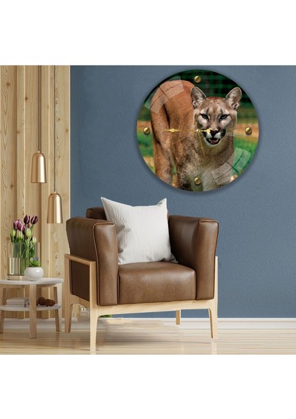 Puma Cam Saat - 60 cm