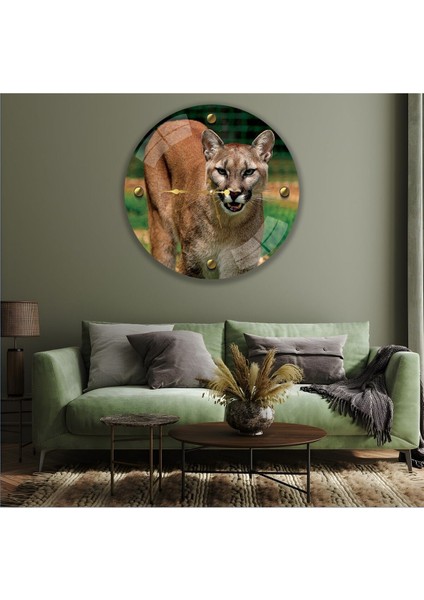 Puma Cam Saat - 60 cm modelleri