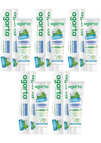 Doğal Diş Macunu 100ML Naneli (5 Li Set)