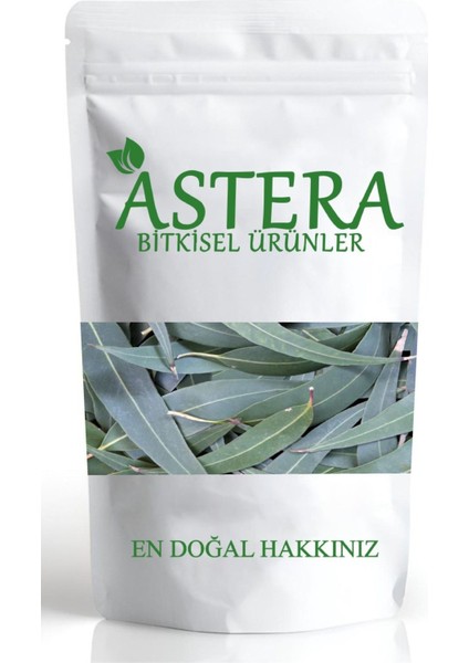 100 gr Okaliptus Yaprak Yeni Mahsül