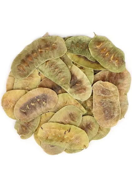 Açlık Otu 250gr