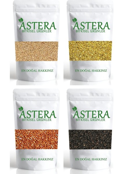 100 gr Ak Darı + 100 gr Sarı Darı + 100 gr Kırmızı Darı + 100 gr Nijer Tohumu