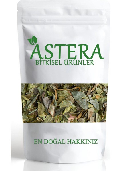 25 gr Avakado Yaprağı
