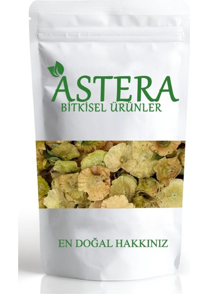 500 gr Çarkıfelek Otu ( Deve Tabanı - Çaltı Dikeni - Karaçalı )
