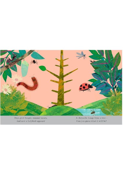 Explore a Tiny World Full of Life - Bugs modelleri