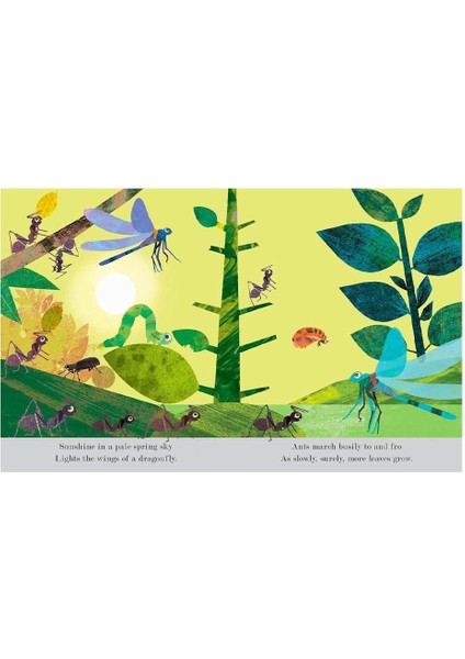 Explore a Tiny World Full of Life - Bugs fırsatları