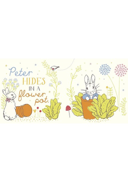 Peter Rabbıt - Hello Peter