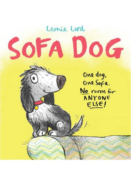 Sofa Dog