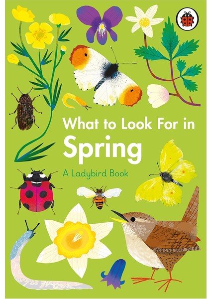 What To Look For In Spring