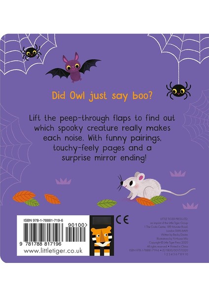 Who Said Boo - A Lift-The-Flap Touch And Feel Boo