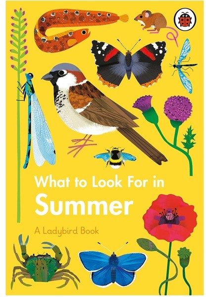 What To Look For In Summer