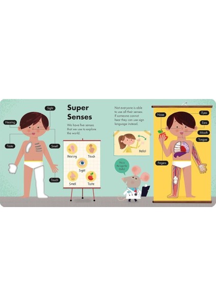 How it Works - The Body modelleri