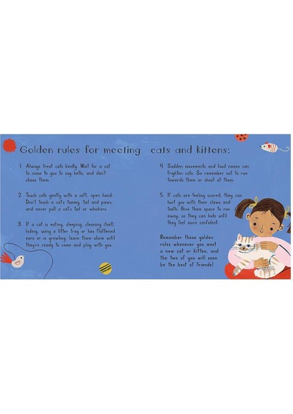 Cat Chat - Board Book