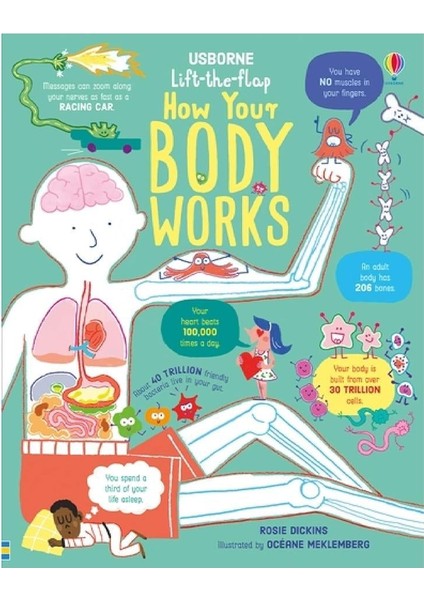 Lift The Flap How Your Body Works