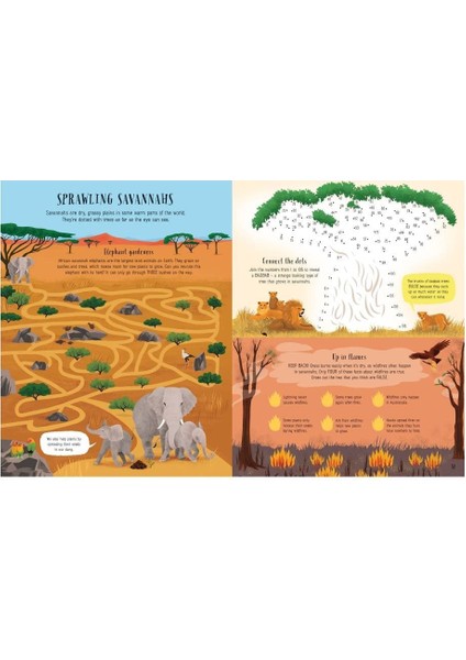 Planet Earth Actıvıty Book fiyatları