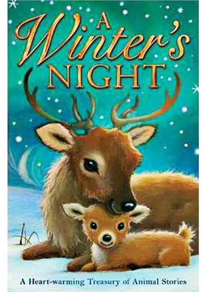 Winter S Night