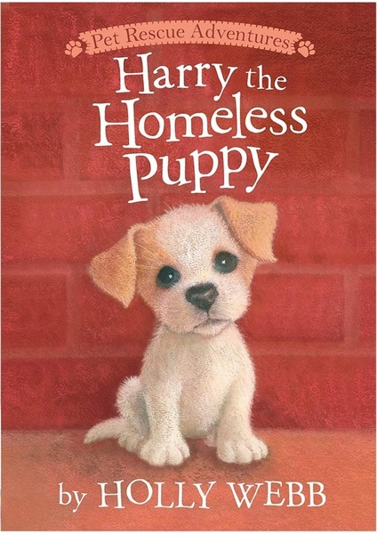 Harry The Homeless Puppy - Anımal Storıes