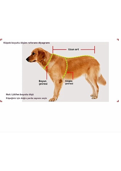 Yaz Köpek Pet Plaj Muppet Kedi Giysileri (Yurt Dışından) fırsatları