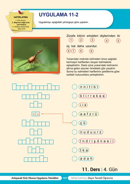 Anlayarak Hızlı Okuma Uygulama Teknikleri 1 ve 2 Kitapları Başlangıç ve Ileri Seviye