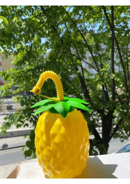 Ananas Pipetli Suluk (7272) fiyatları