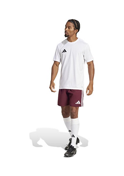 TASTIGO25 Sho M Erkek Futbol Antrenman Şortu JN4426 Renkli