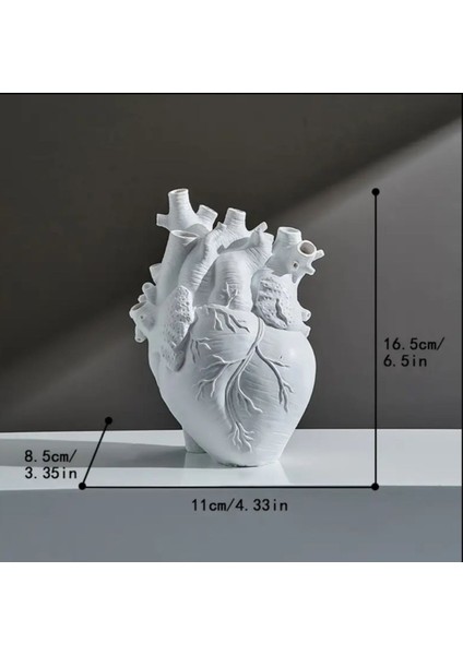 Anatomik Kalp Vazo / Dekoratif Vazo (16.5X11CM)
