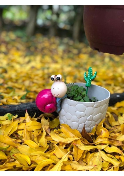 Bahçe Süsü / Saksı Süsü / 3 Adet fiyatları