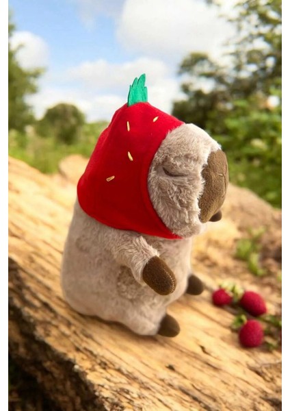 Capybara Peluş Oyuncak Cappy,capy 33 cm Orta Boy 1 Adet