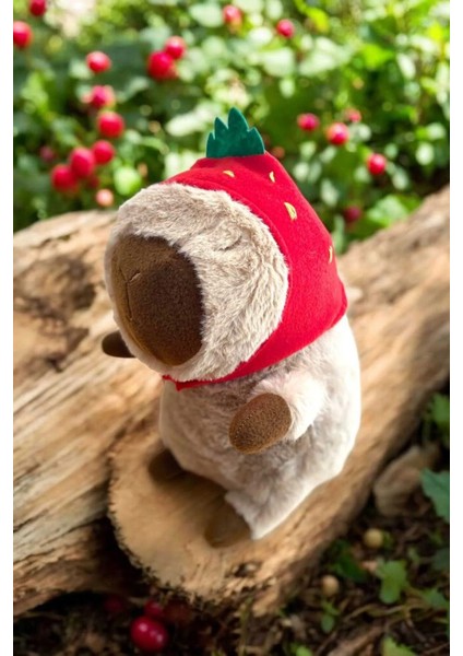 Capybara Peluş Oyuncak Cappy,capy 33 cm Orta Boy 1 Adet