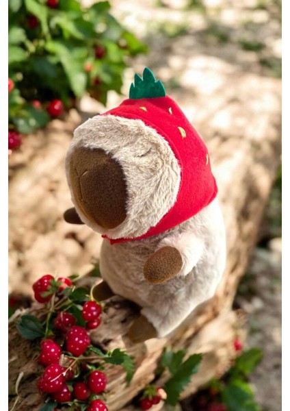 Capybara Peluş Oyuncak Cappy,capy 33 cm Orta Boy 1 Adet