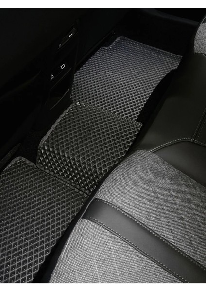 Citroen C4X Model Yeni Nesil Oto Paspas modelleri
