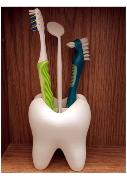 Banyo Dekorasyonuna Uygun Modern Diş Fırçalık