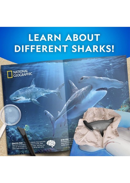 NAT07002 Köpek Balığı Bulma Kiti - TRHAMSHDIG +6 yaş modelleri