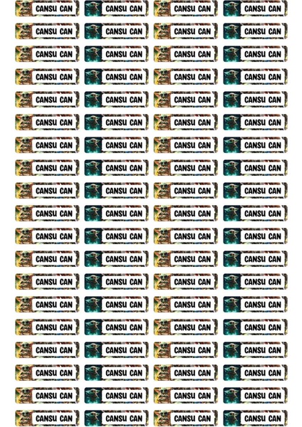 Baby Yoda Okul Etiket Seti ( Defter Etiketi, Kalem Etiketi , Araç Gereç Etiketleri. ) modelleri