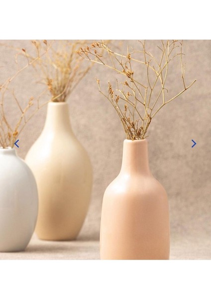 Üçlü Dekoratif Testi Vazo fiyatları