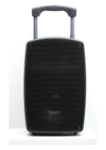 Pa 2315 Ee 15" Taşınabilir Amfi - El+El