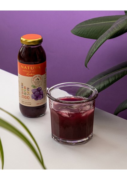 %100 Kokulu Üzüm Suyu Minikler 250 ml