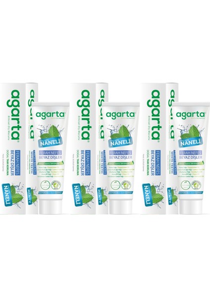 Doğal Diş Macunu 100ML Naneli (3 Lü Set)